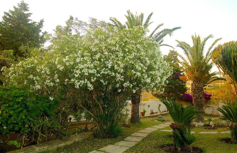 La Rosa Sul Mare Aparthotel